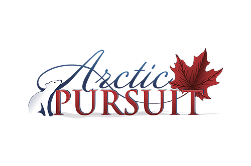 Arctic pursuit
